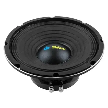 Difuzor Dibeisi PS1005-8 | 10 inch, 8 Ohm, 200W