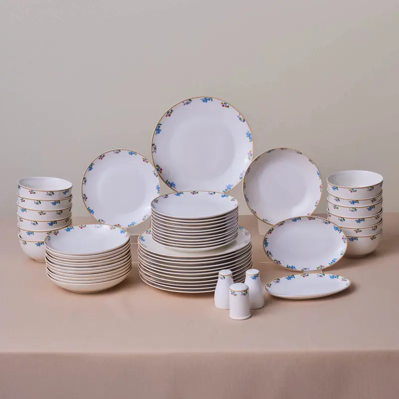 Forever Bone New Brillo, 53 Piese, Set de Veselă Pentru 12 persoane, Multi