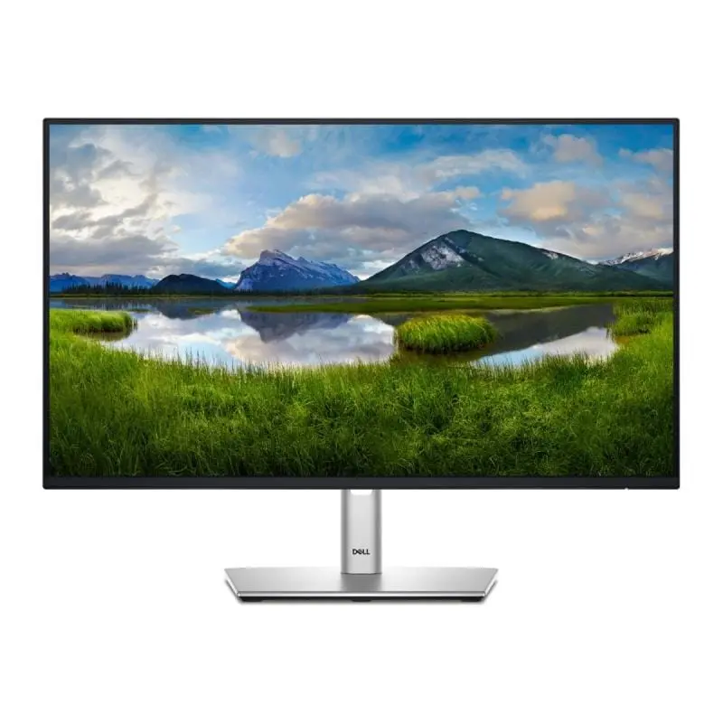 Monitor Profesional Dell P2425H | 24", Full HD, IPS, 100Hz, Negru