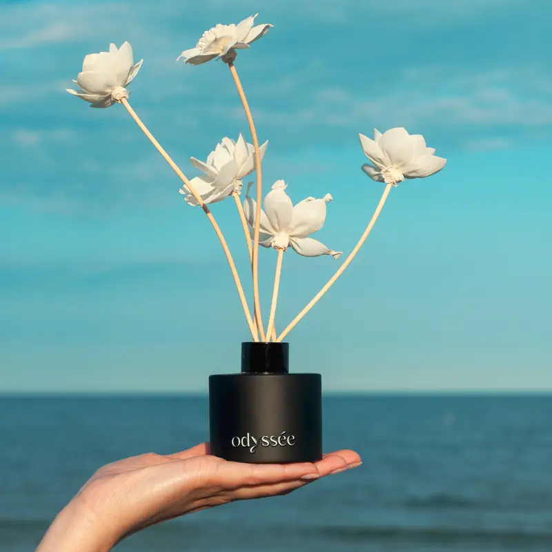 Parfum odorizant de cameră cu bețișoare